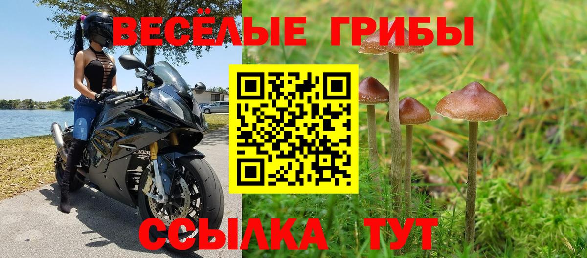 Псилоцибиновые грибы Cubensis  как найти наркотики  Приморско-Ахтарск  Вход с VPN 